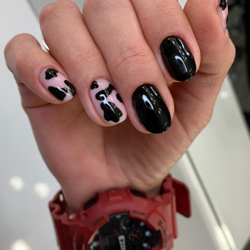 Alisa, Миколаїв Фото - 10