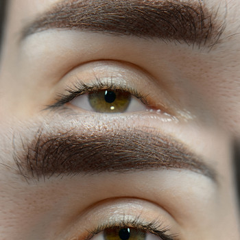 Брови пудрові