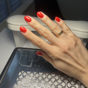 Краля, Київ Фото - 1