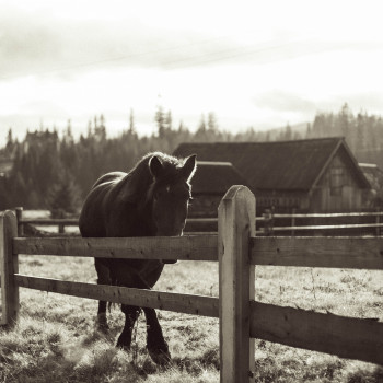 Олександра Пі, Одесса Фото - 21