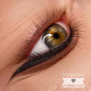 Перманентный макияж век Стрелка классическая или Стрелка с растушевкой
                    Мастер перманентного макияжа Ирина Киев