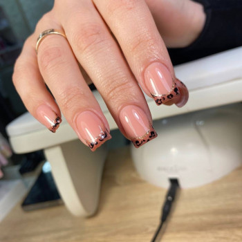 MK Novik, Запоріжжя Фото - 43