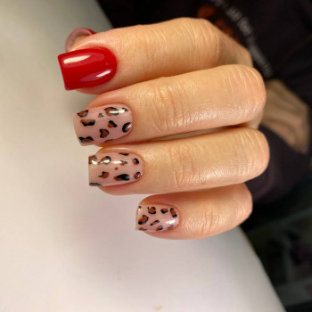 MK Novik, Запоріжжя Фото - 79