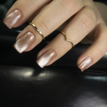 MK Novik, Запоріжжя Фото - 81