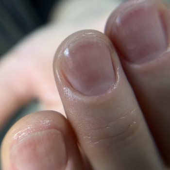 MK Novik, Запоріжжя Фото - 83