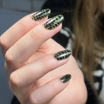 MK Novik, Запоріжжя Фото - 54