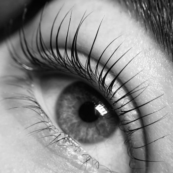 Мята, Харьков Фото - 5