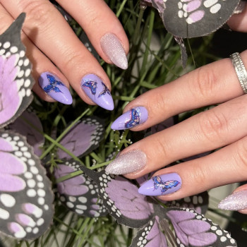 Beauty Studio T. Galagan, Київ Фото - 20