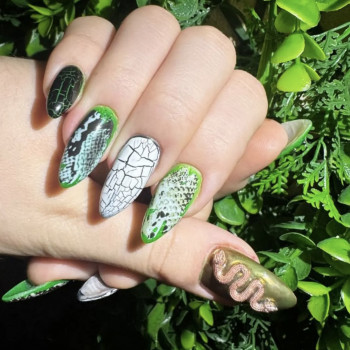 Beauty Studio T. Galagan, Київ Фото - 47