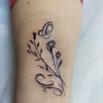 Beauty Studio T. Galagan, Київ Фото - 68