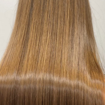 Холст волос после процедуры, фото - парикмахер Людмила Сорокина