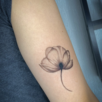 Тату / Міні-тату / Кольорові тату
                    Мастер перманентного макияжа Юлия Александрия