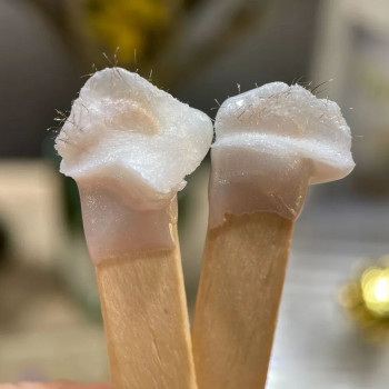 Алёна Путря, Харьков Фото - 5