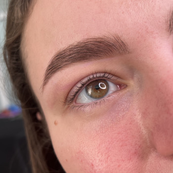 Архітектура брів (корекція та фарбування)