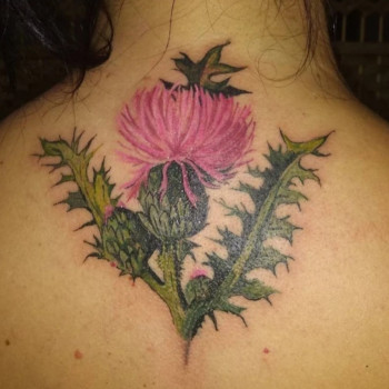 Тату цветные на спине цветок, фото - Тату салон Мolfar tattoo