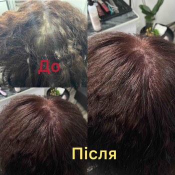 Цим все сказано!