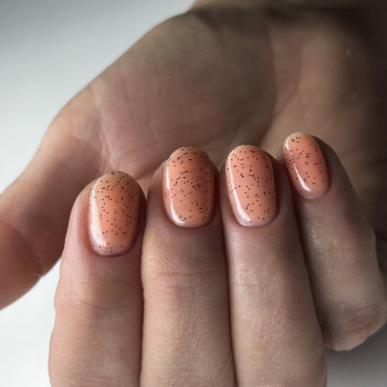 Granat, Киев Фото - 7