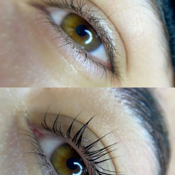 Ламінування брів та вій
                    Бровист  Киев