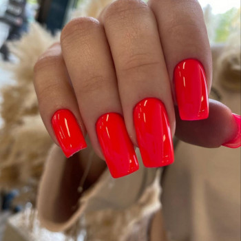 София Васильков, Львов Фото - 5