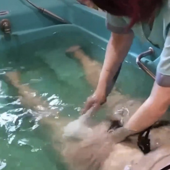 ГідроМасаж     #