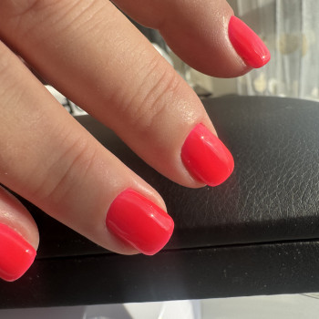 Надія Сташкевич, Українка Фото - 15