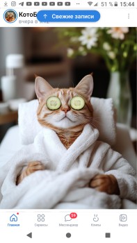 АЛХИМИЯ КРАСОТЫ