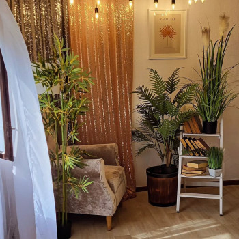 Magic art, Житомир Фото - 5