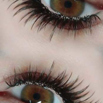 2д нарощення вій з промінчикам
Колір гіркий шоколад

    