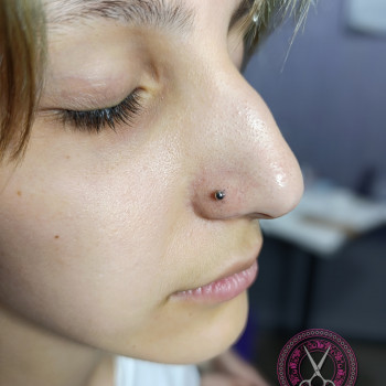 Иленто, Запорожье Фото - 42