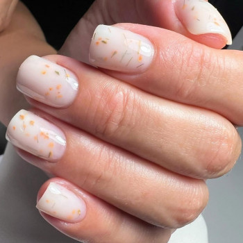 Яна Гринчук, Лозовая Фото - 5