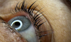 Ламинирование ресниц Салон краси Charisma Запоріжжя