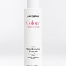 Shine Restoring Shampoo 250 ml La biosthetique