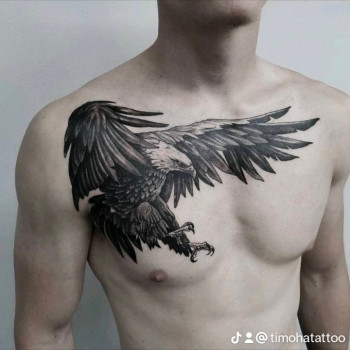 Тімоха Татуер, Житомир Фото - 8