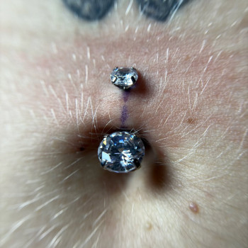 Прокол пупка

 
 
 
 
 
 
 
 
 
 
 
 
 
 
 
 
 
 
 
 
 
 
 
 