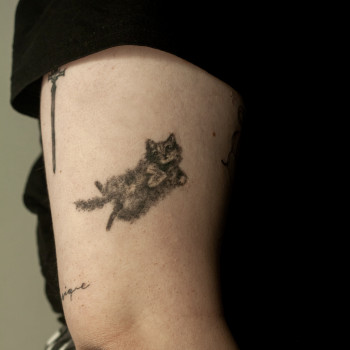 Загоєне татуювання киці