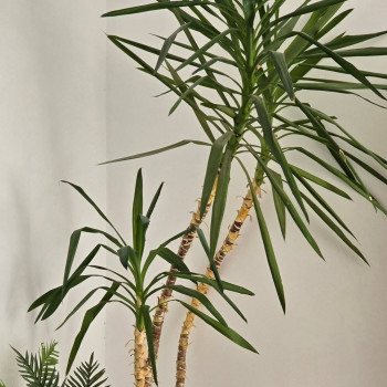 BILENKA, Одесса Фото - 6