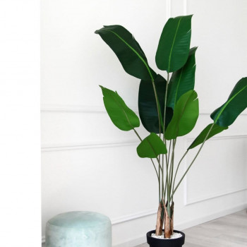 NOVA 21., Одеса Фото - 5