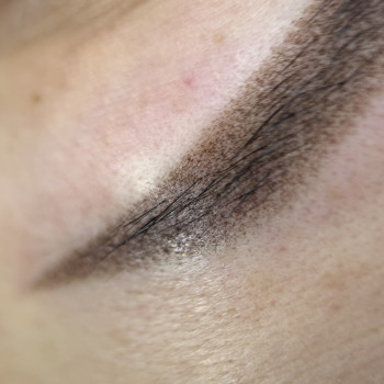 Пудрова техніка