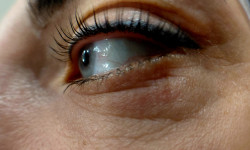 Ламинирование ресниц Тритментолог Ганна Киев