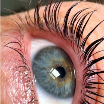 Фото з портфоліо майстра Катерина Лянна (ламімейкер, Миколаїв)