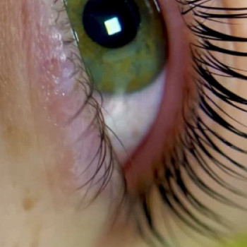 Фото з портфоліо майстра Катерина Лянна (ламімейкер, Миколаїв)