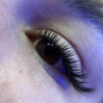 Мокрий 2Д "Лисичка"