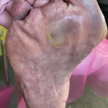 Алла Дуплов, Каменское Фото - 3