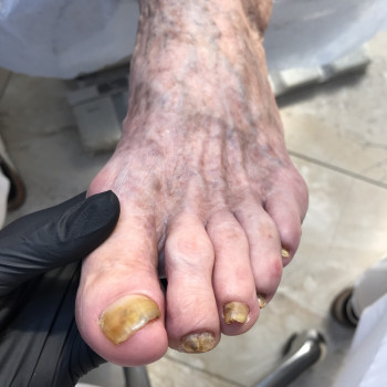 Дана Драпака, Чернівці Фото - 5