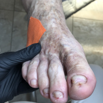 Дана Драпака, Чернівці Фото - 6