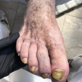 Дана Драпака, Чернівці Фото - 7