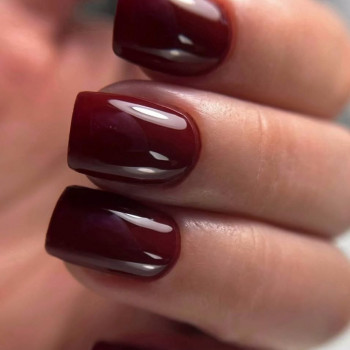 ТЕРИТОРІЯ КРАСИ, Одеса Фото - 6