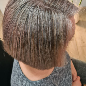 Інтеграція сивини