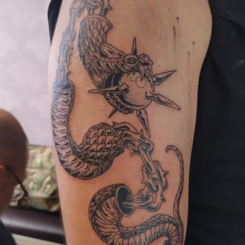 Ярослав Алексеенко, Запорожье Фото - 1