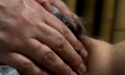 Массаж лица моделирующий Массажный салон  Житомир